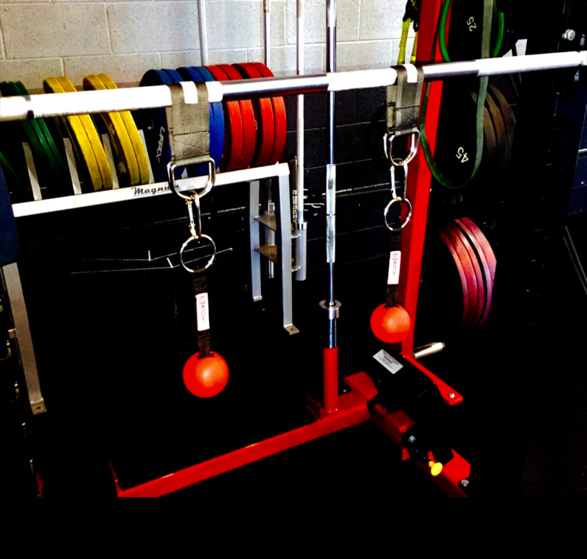 Kinetic Chain Gripz Pull-up and Grip Strengthening System