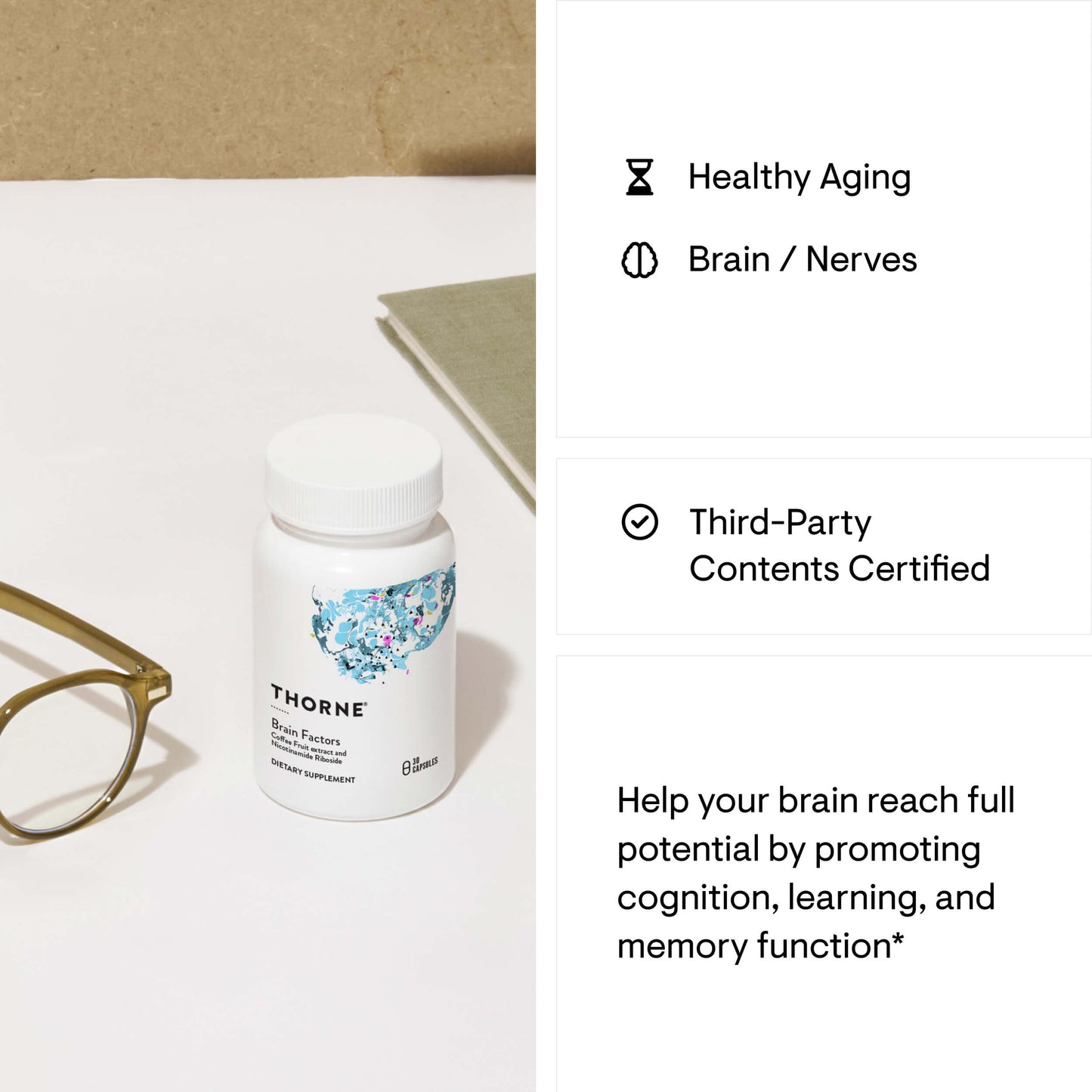 Brain Factors